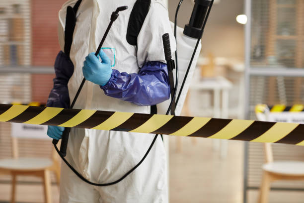 Professional Sewage Cleanup technician working in Independence, VA