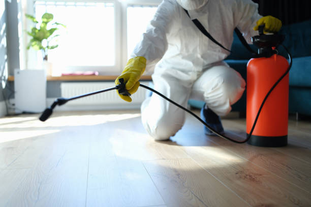Reliable Sewage Cleanup contractor in Independence, VA by Dulley Family Biohazard Services